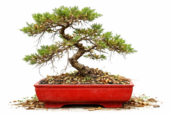 Where will the technical debt go?